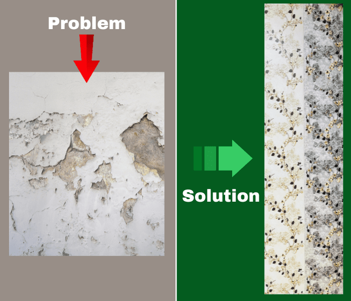 Read more about the article Best Solution for Seepage Wall